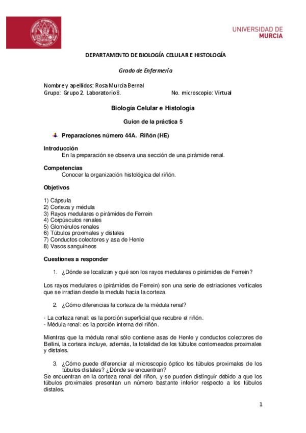 Miniatura del documento Guion-practica5.pdf