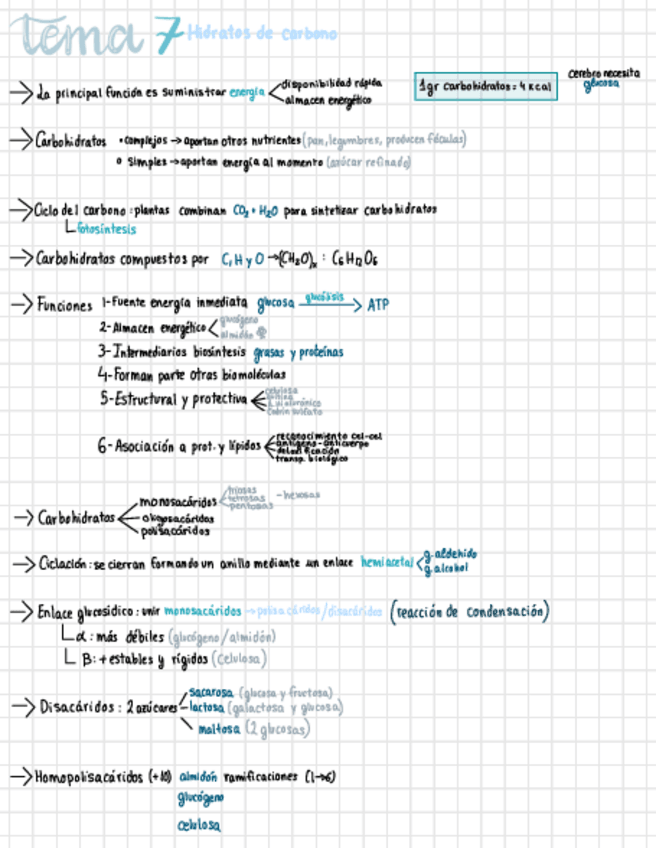 Miniatura del documento Tema-7.pdf