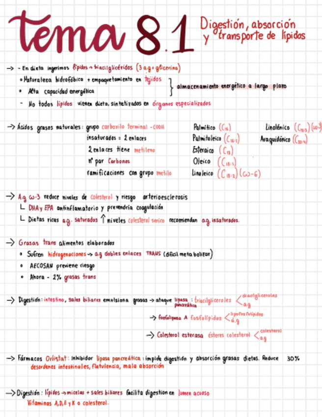 Miniatura del documento Metabolismo-Lipidico-.pdf