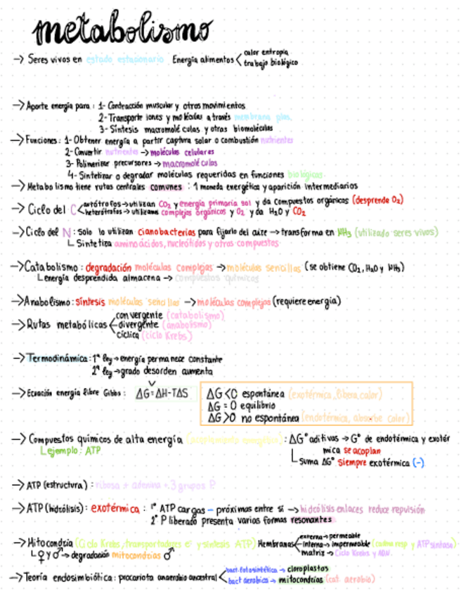 Miniatura del documento Metabolismo.pdf