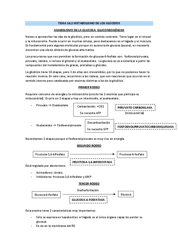 Miniatura del documento TEMA-16.pdf