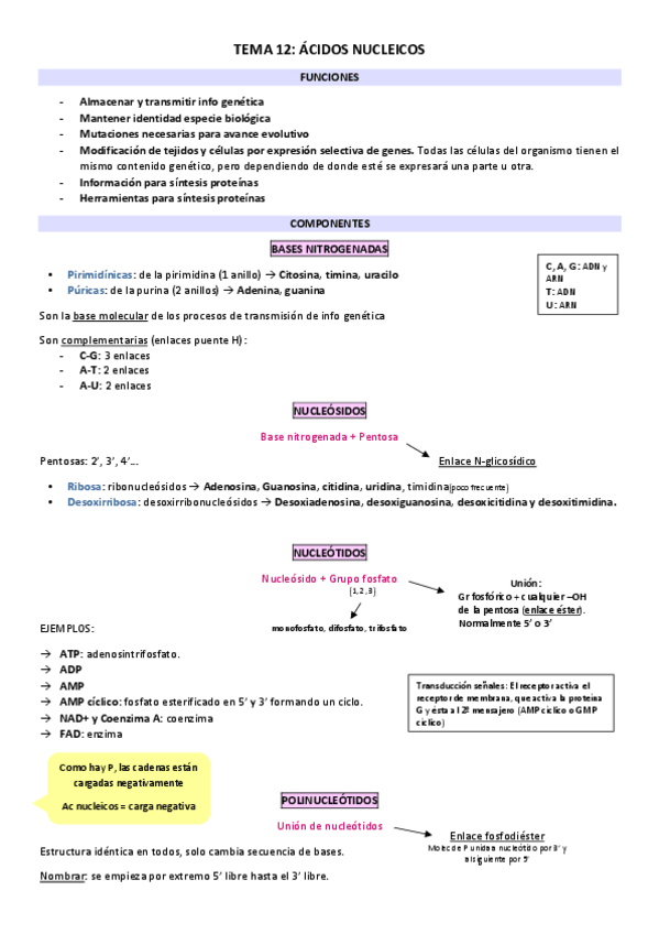 Miniatura del documento TEMA-12-bq.pdf