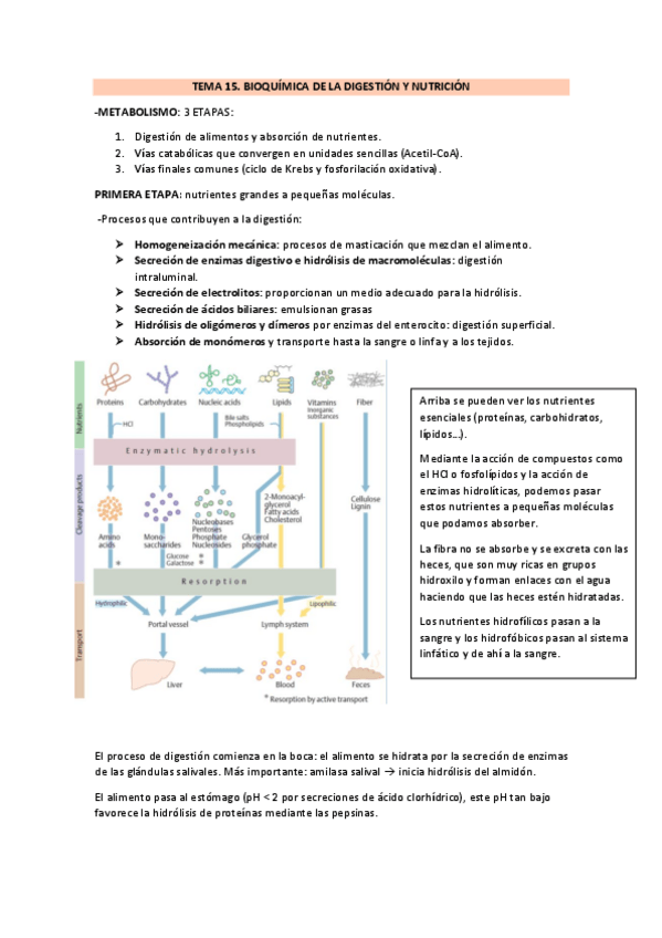 Miniatura del documento TEMA-15.pdf