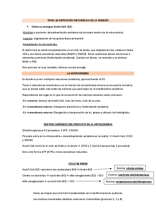 Miniatura del documento TEMA-18.pdf