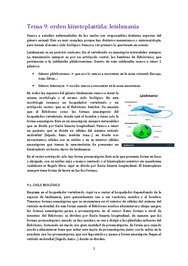 Miniatura del documento tema 9 para.pdf