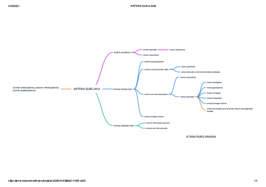 Miniatura del documento ARTERIA-SUBCLAVIA.pdf