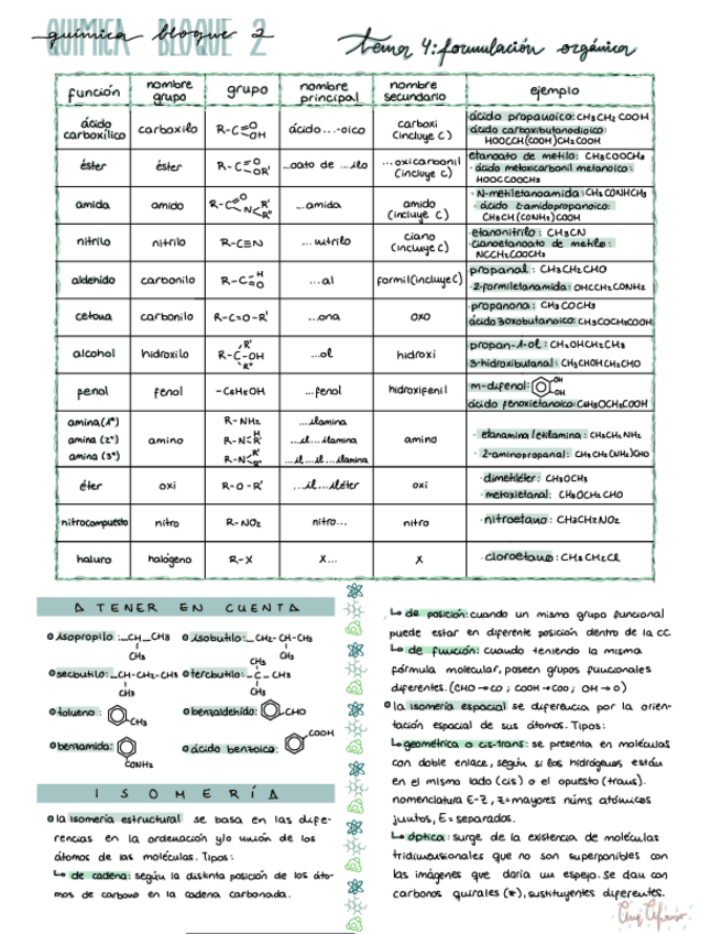 Miniatura del documento Resumen-quimica-formulacion-organica-isomeros-y-reacciones.pdf