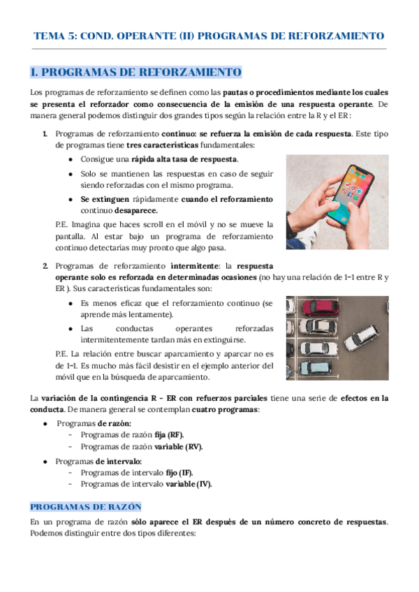 Miniatura del documento TEMA 5 APRENDIZAJE
