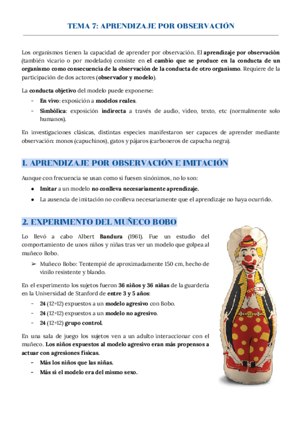 Miniatura del documento TEMA 7 APRENDIZAJE