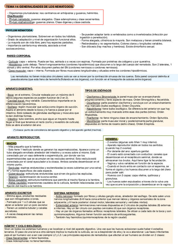 Miniatura del documento Bloque-Helmintos-Nematodos-T14-T24.pdf