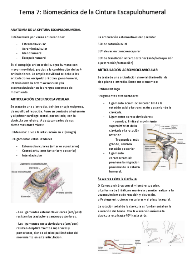 Miniatura del documento tema-7-biomec.pdf
