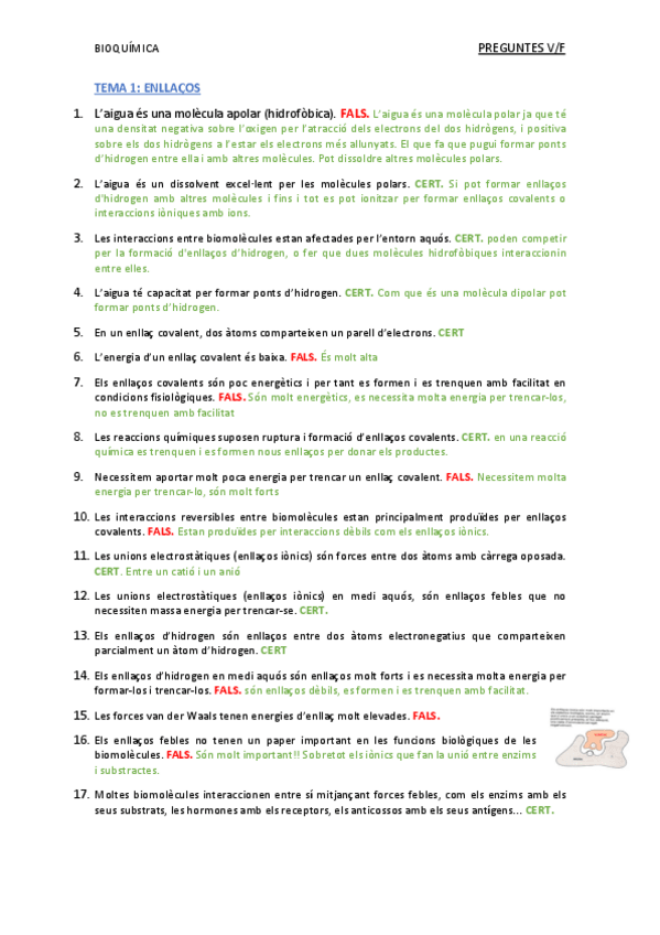 Miniatura del documento PREGUNTES-V-F-bioquimica.pdf