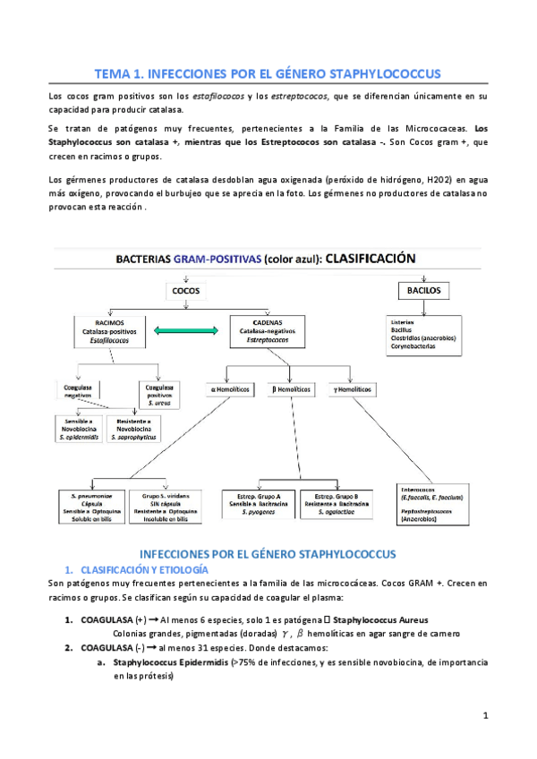 Miniatura del documento Tema-1.pdf