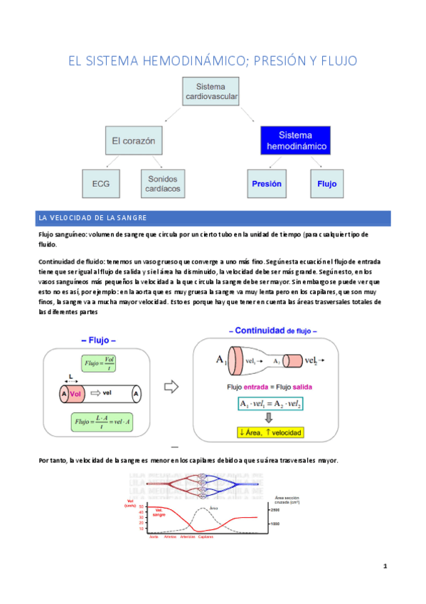 Miniatura del documento Tema 3: hemodinámica