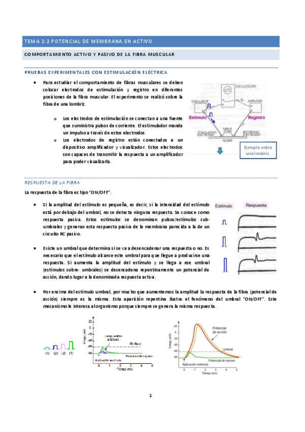 Miniatura del documento Tema 2.2: potenciales de membrana activo