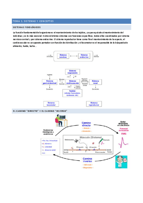 Miniatura del documento Temas 1 y 2.1: sistemas y pot. reposo