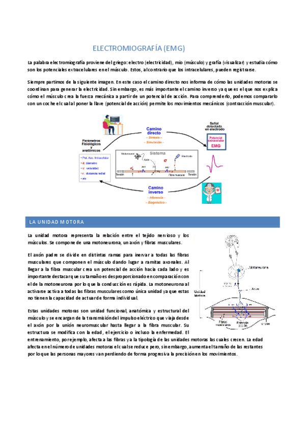 Miniatura del documento Tema 2.6: EMG