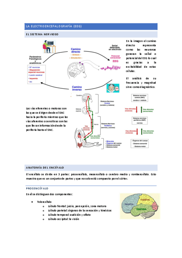 Miniatura del documento Tema 2.8: EEG