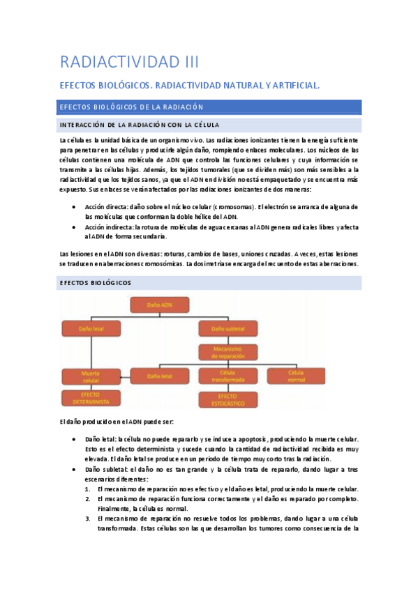 Miniatura del documento Tema 4: radiactividad III