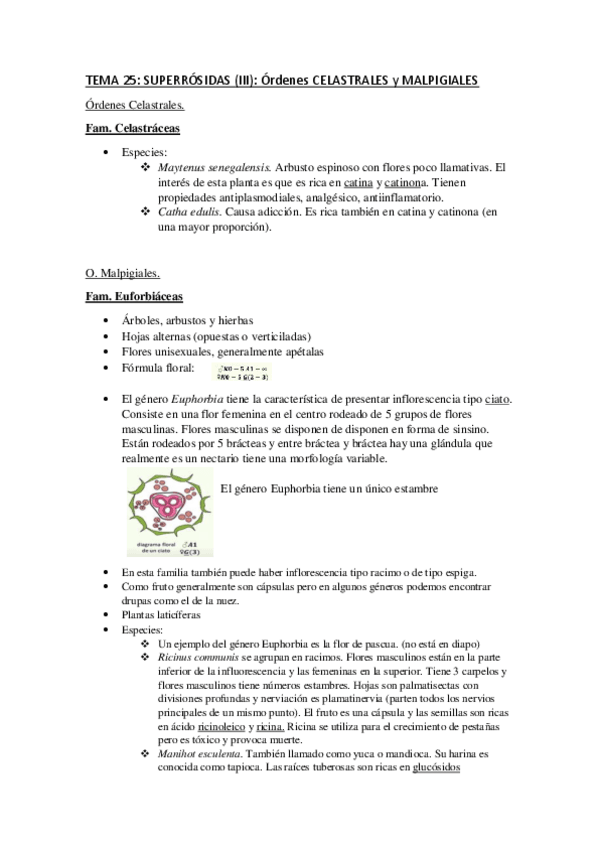 Miniatura del documento T25.pdf
