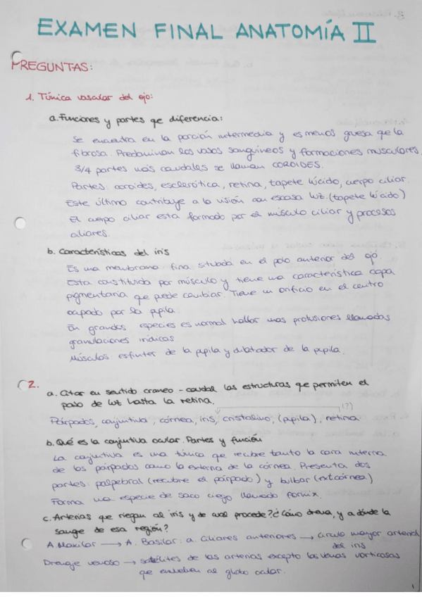 Miniatura del documento EXAMEN-SEGUNDO-PARCIAL-ANATOMIA-II.pdf