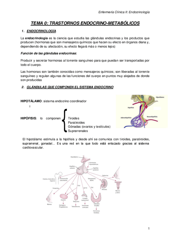Miniatura del documento ENDOCRINO.pdf