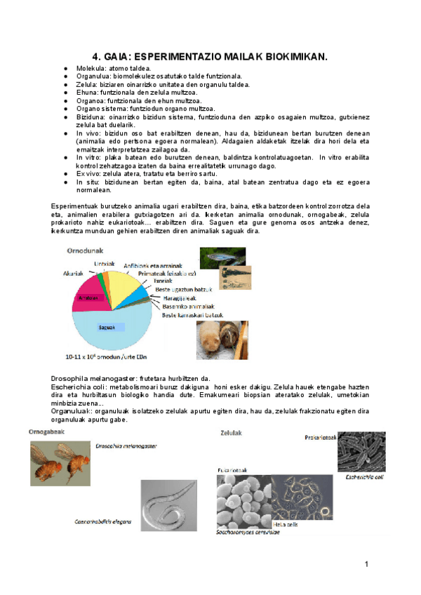 Miniatura del documento 4.pdf