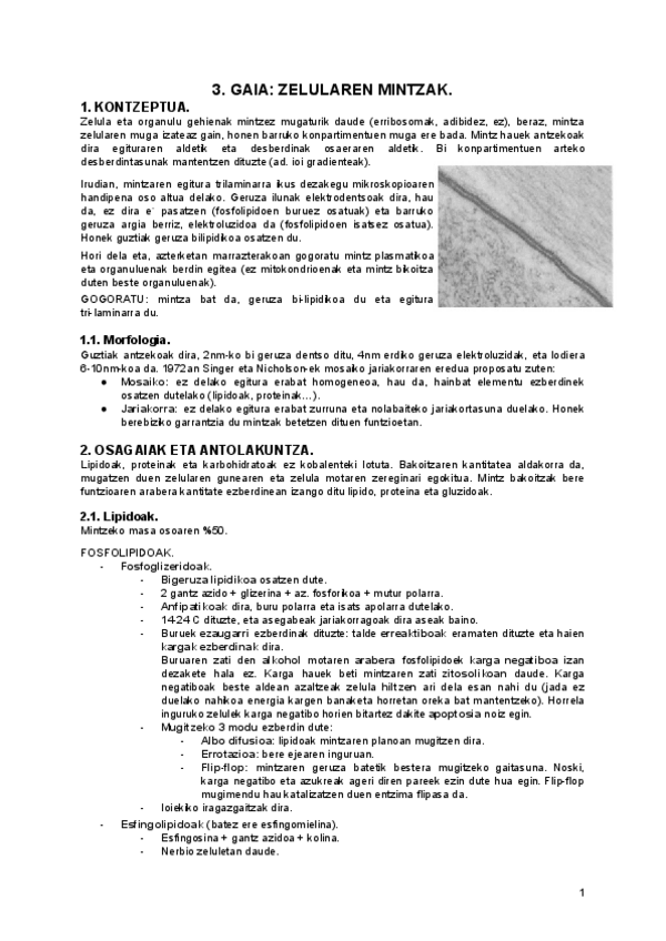 Miniatura del documento 3.pdf
