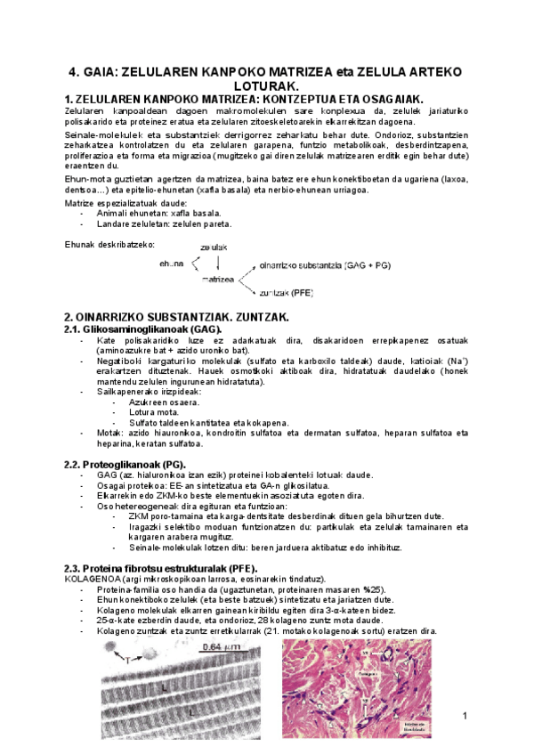 Miniatura del documento 4.pdf