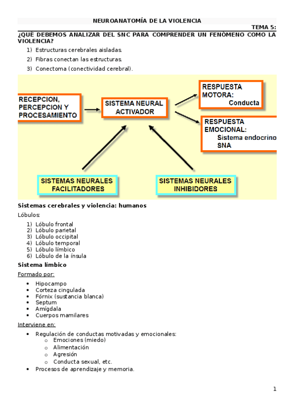 Miniatura del documento NEUROANATOMIA-DE-LA-VIOLENCIA.docx