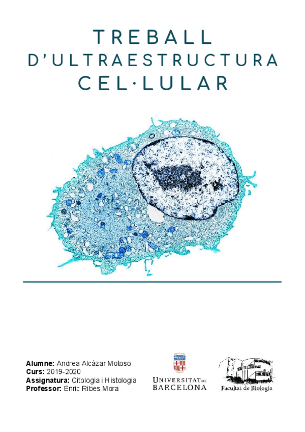 Miniatura del documento ANDREA-ALCAZAR-MOTOSO-TREBALL-ULTRAESTRUCTURA.pdf