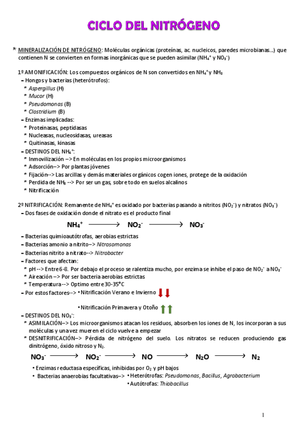 Miniatura del documento Ciclo-de-Nitrogeno-pdf.pdf