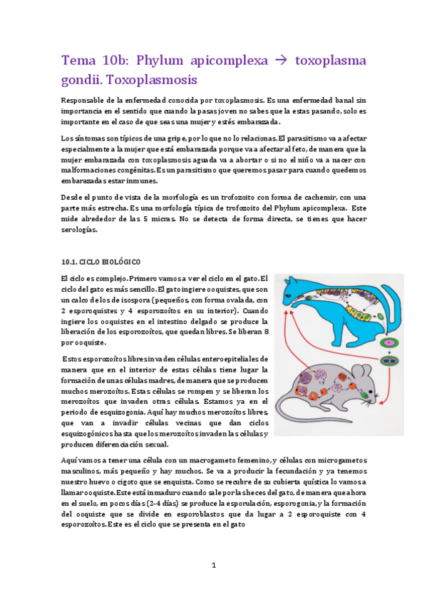 Miniatura del documento tema 10B para.pdf