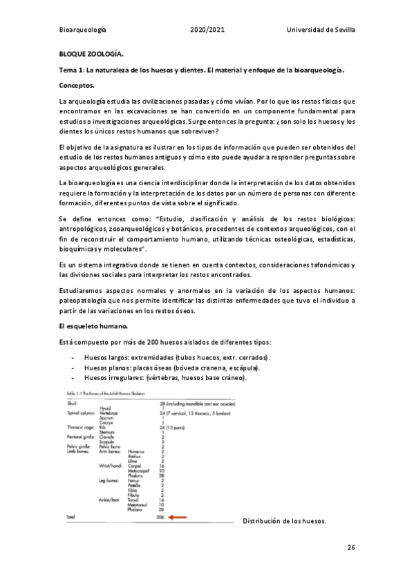 Miniatura del documento Apuntes-Bloque-zoologia.pdf