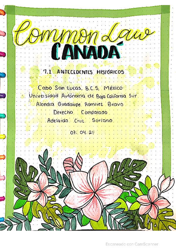 Miniatura del documento Common-Law-Canada-Antecedentes-Historicos.pdf