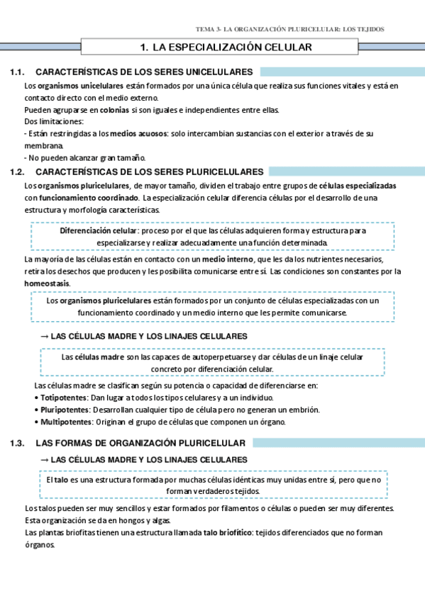Miniatura del documento TEMA-3-LA-ORGANIZACION-PLURICELULAR.pdf