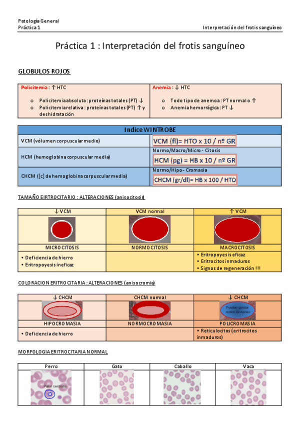 Miniatura del documento Practicas.pdf