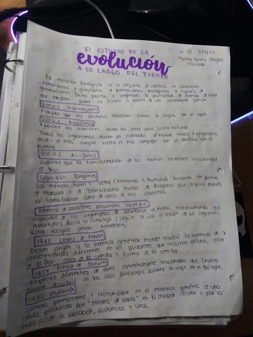 Miniatura del documento WhatsApp-Image-2021-05-19-at-11.jpg