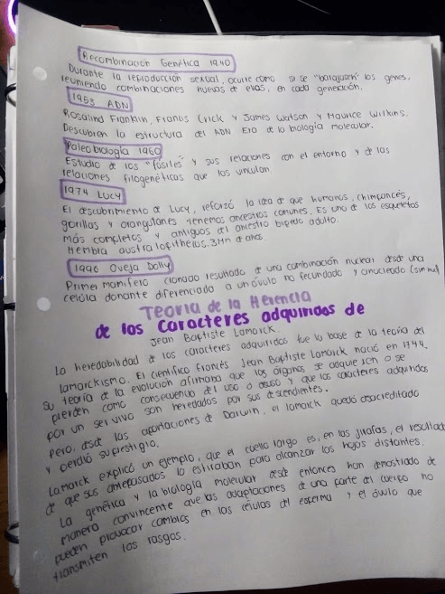 Miniatura del documento WhatsApp-Image-2021-05-19-at-11.jpg