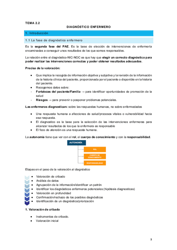 Miniatura del documento 2.2. Diagnóstico enfermero 