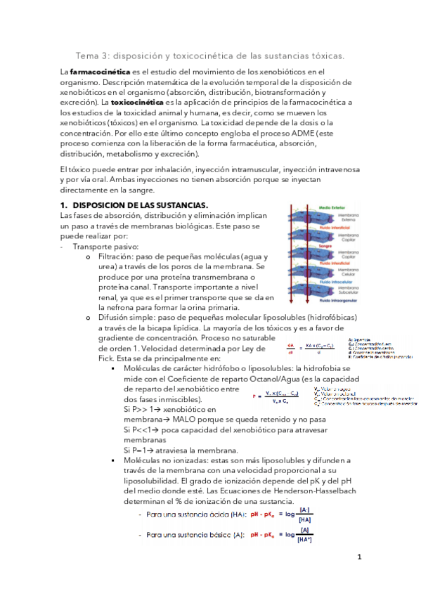 Miniatura del documento Tema-3.pdf