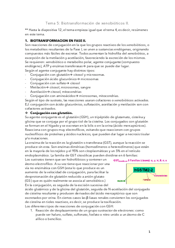Miniatura del documento Tema-5.pdf
