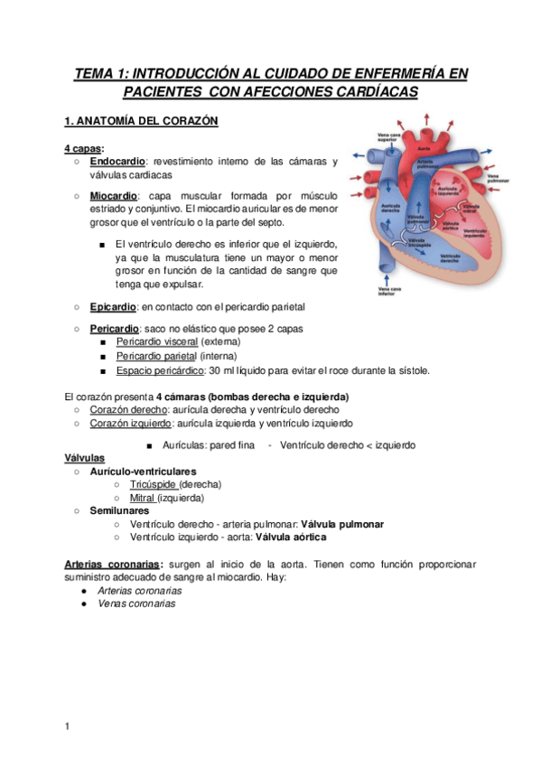Miniatura del documento Cardio.pdf