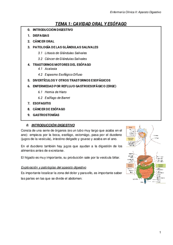 Miniatura del documento DIGESTIVO.pdf