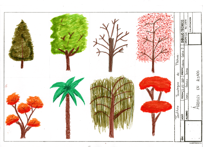 Miniatura del documento arboles2021032209092872.pdf