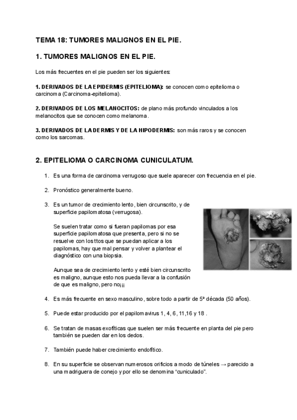 Miniatura del documento TEMA-18-TUMORES-MALIGNOS-EN-EL-PIE-1.pdf