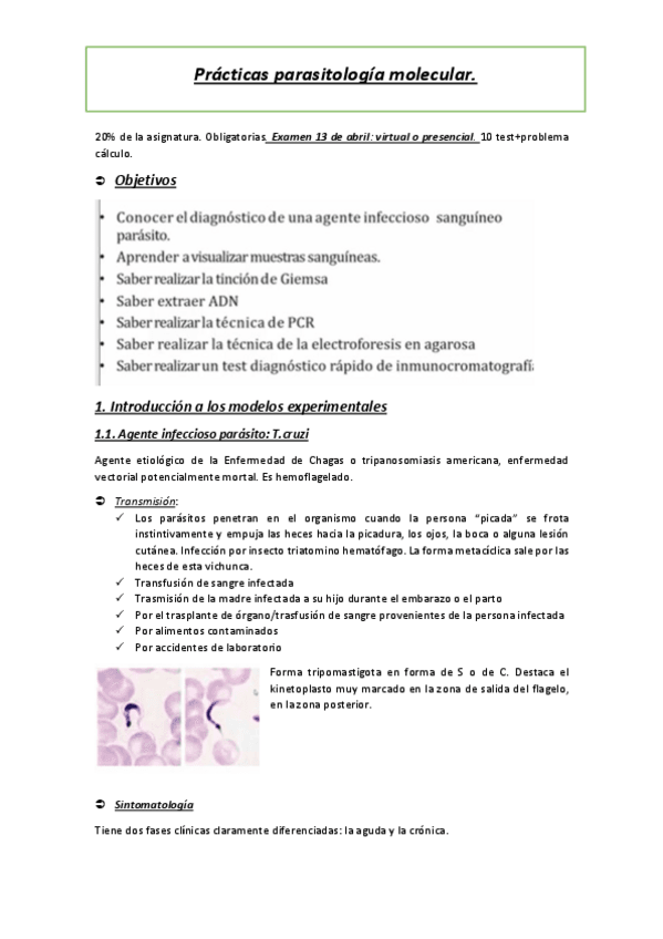 Miniatura del documento Practicas-seminario-EXPLICADO.pdf