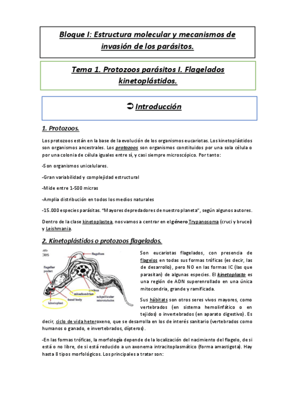 Miniatura del documento Tema-1.pdf