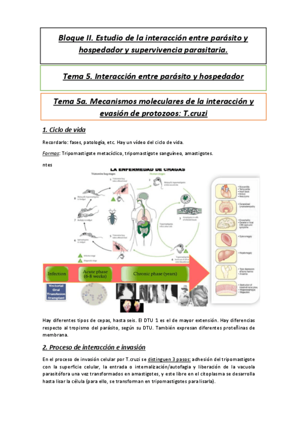 Miniatura del documento Tema-5a.pdf