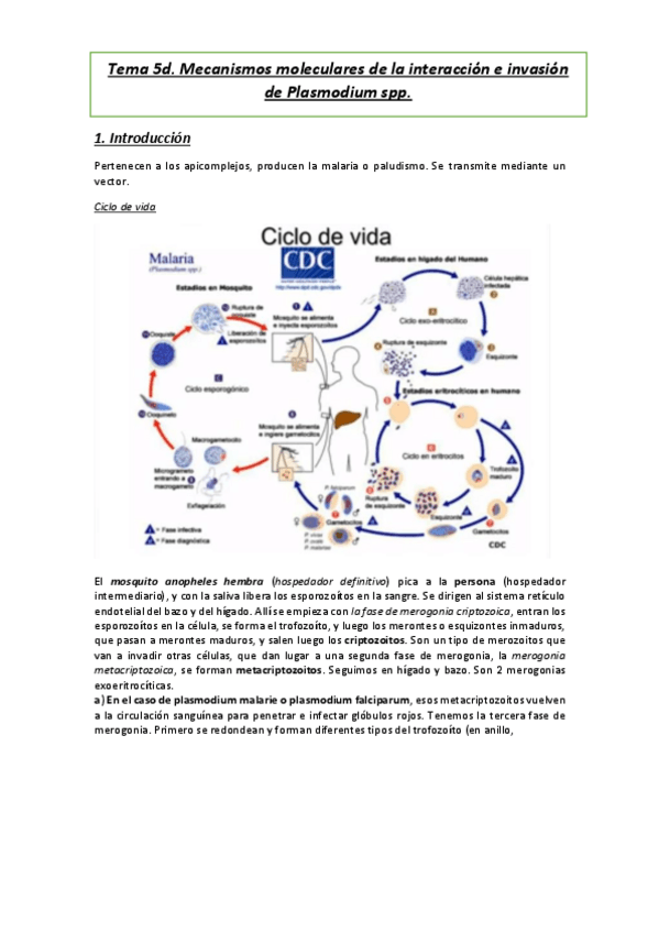 Miniatura del documento Tema-5d.pdf